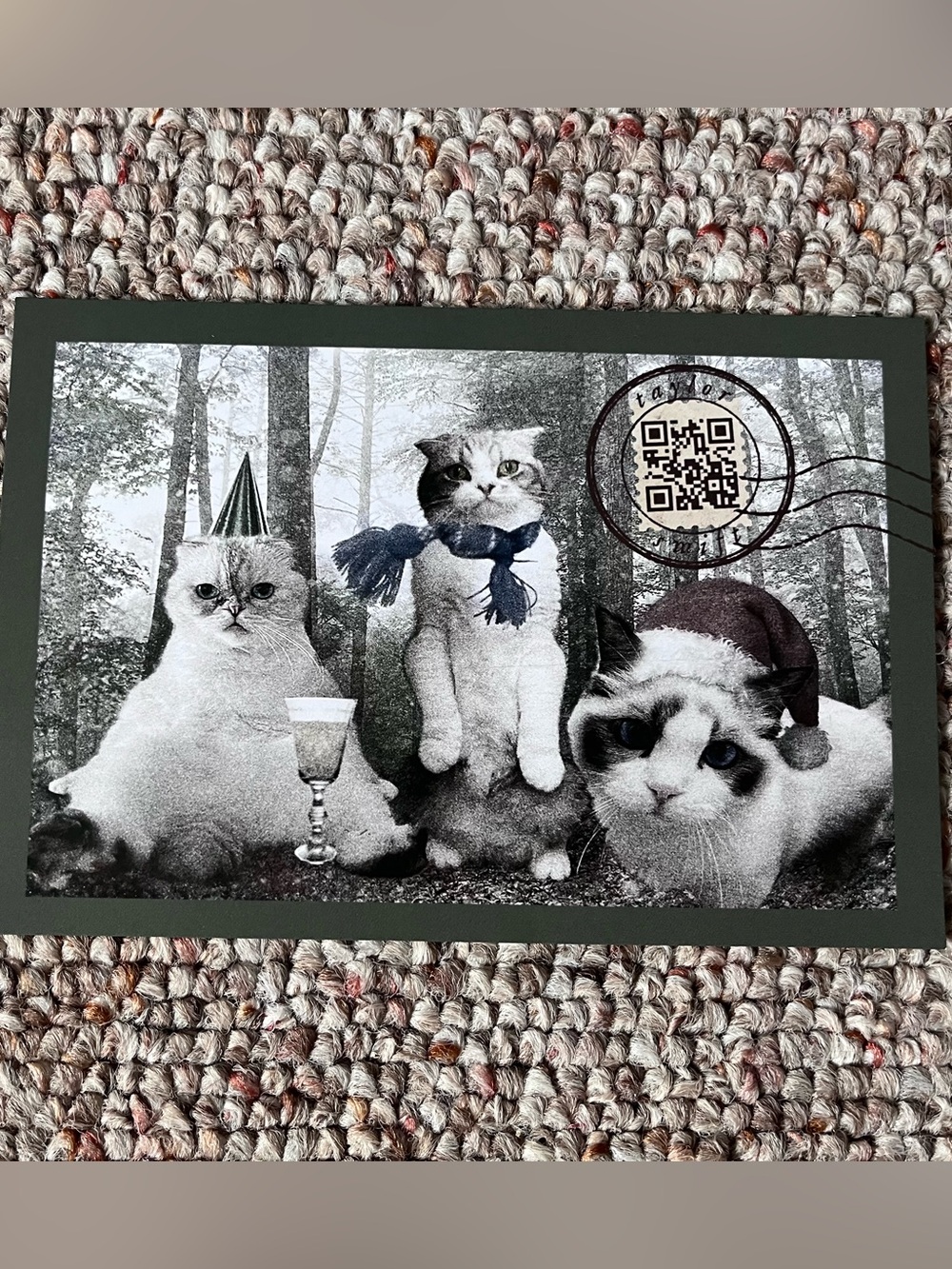 Taylor Swift Folklore Cat Post Card